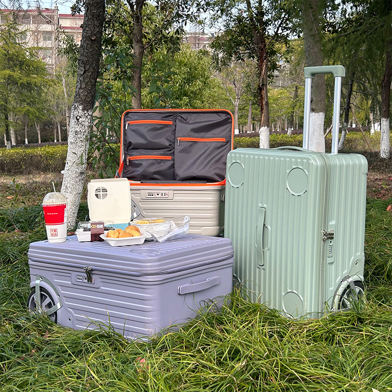 20/24-дюймовый уличный чемодан – обзор и цена Spinner Wheel Rolling Suitcase 20 Inch